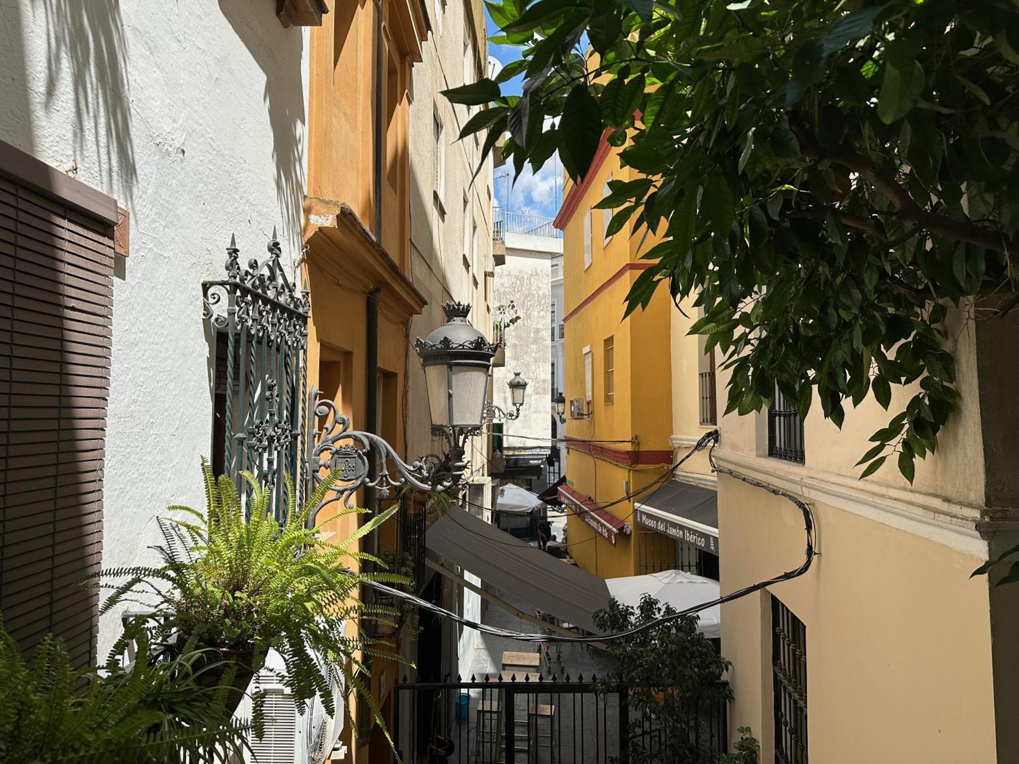 Blue House Arenal Seville, Seville